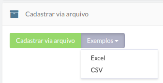 cadastrar_vi_arquivo_exemplos.png